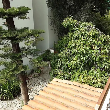 Villetta Meridiana Apartment Sanremo